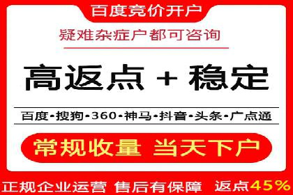 百度推广实战攻略：案例与技巧